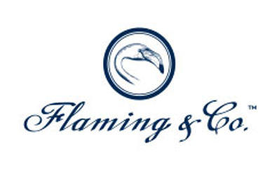flaming logo